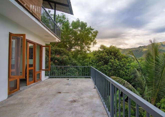 Butterfly Nest Ella Image