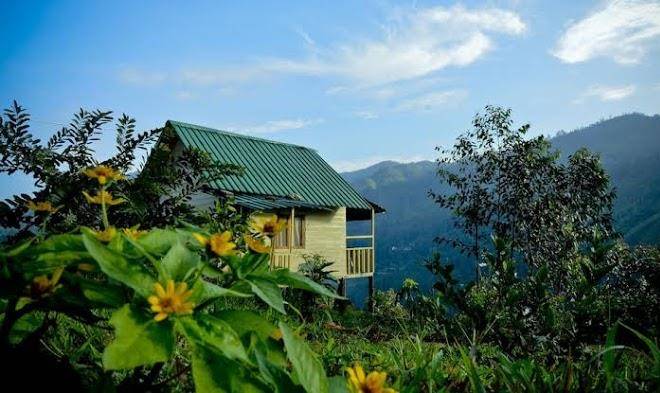 Cool Mount Resort Image