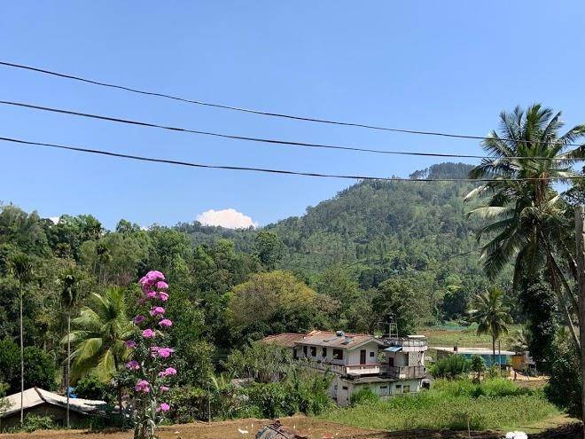 Ella Arcadia Mount Image