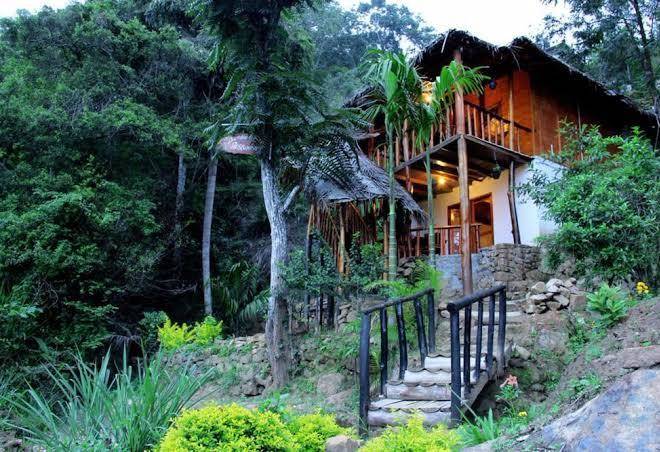 Ella bamboo cabana