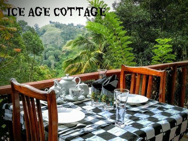 Ella ice age cottege