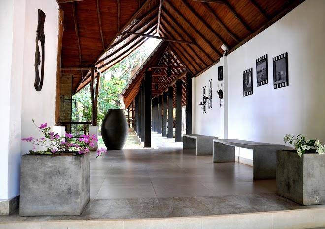 Ella jungle inn