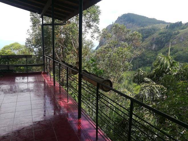 Ella Tea Garden Image