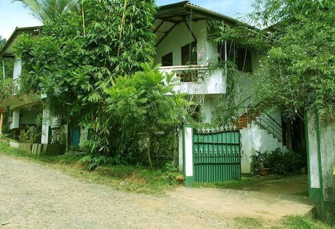 Green side view