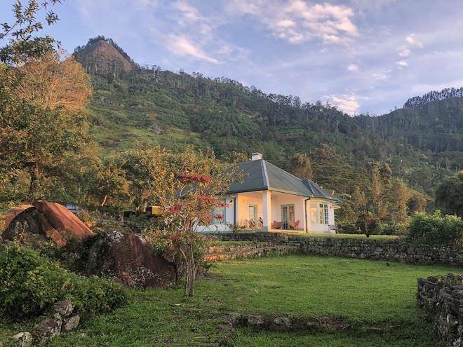 Haldummulla Estate Image