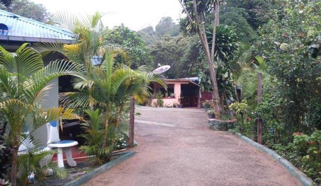 Hotel blue wings