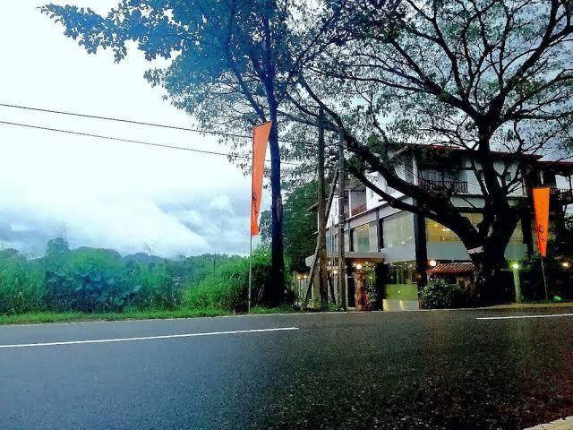 Hotel lion nature