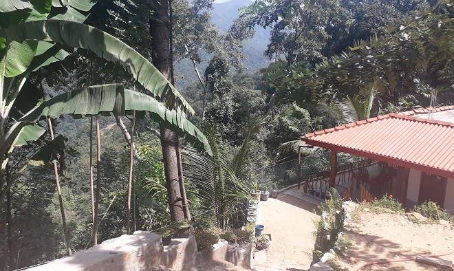 Induwara guest