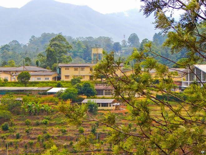 Lark nest hotel