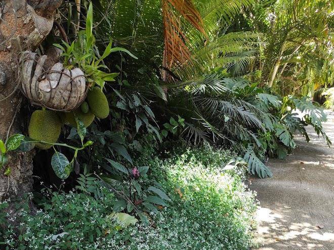 Lowlands bungalow
