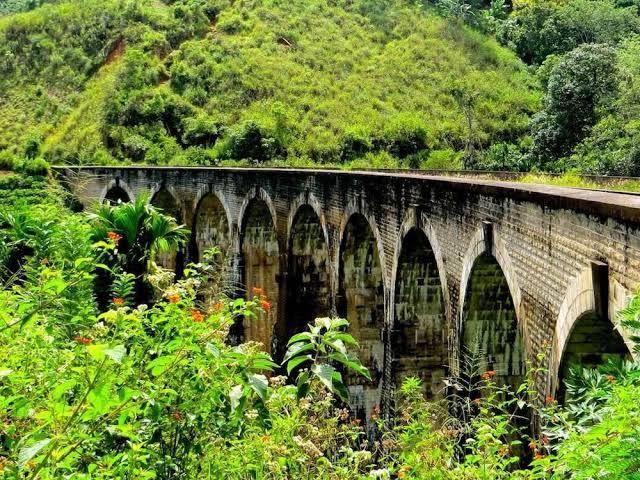 Misty Elegance Ella Image