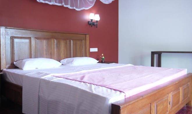 Nature Walk Ella Image