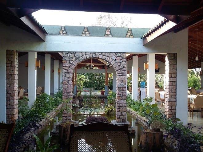 The tea tree resort