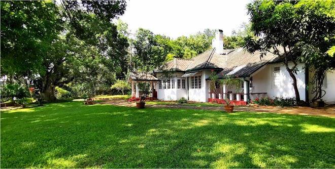 Unugalle estate bungalow