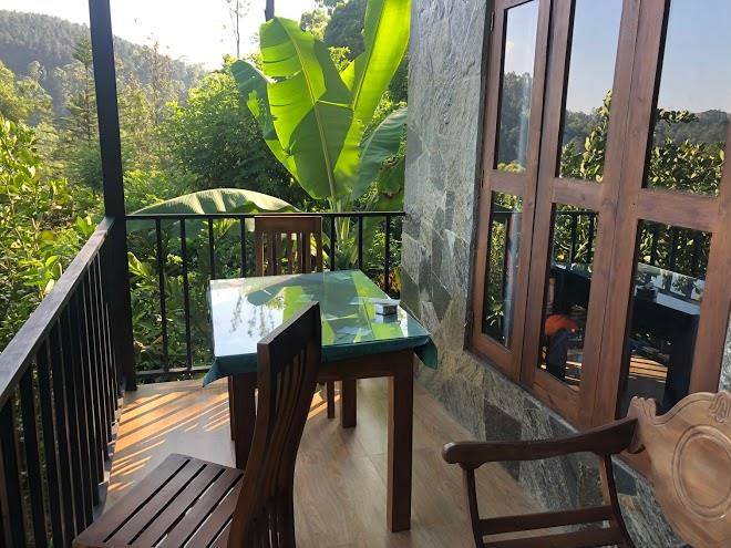 Will guest homestay