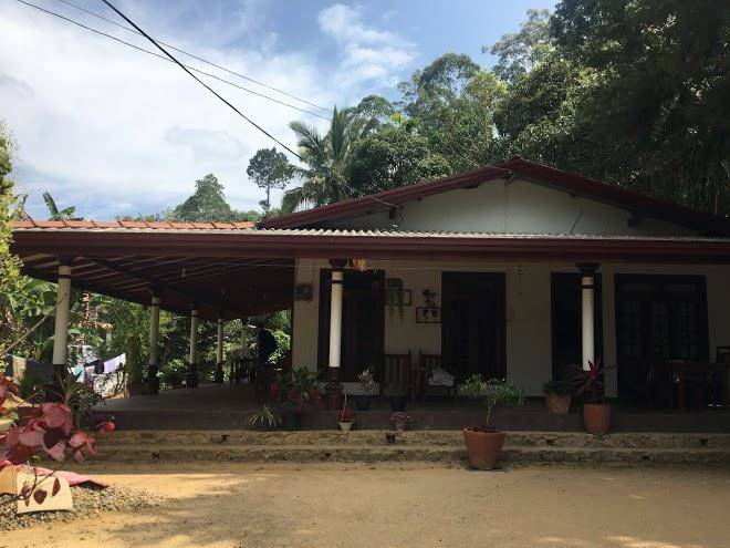 Lavender homestay