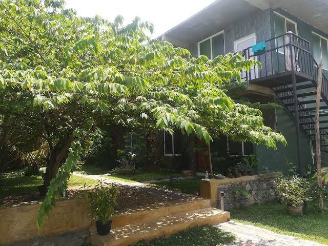 Airport green hotel
