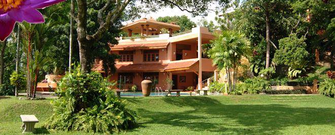 Spring Of Life Image