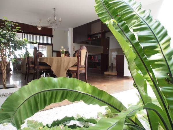 Cool colombo7