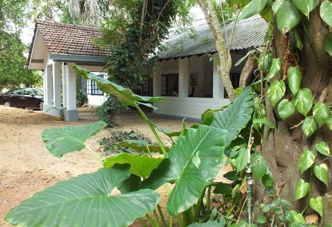 Back of beyond diklande estate bungalow