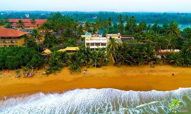 Hotel coconut bay