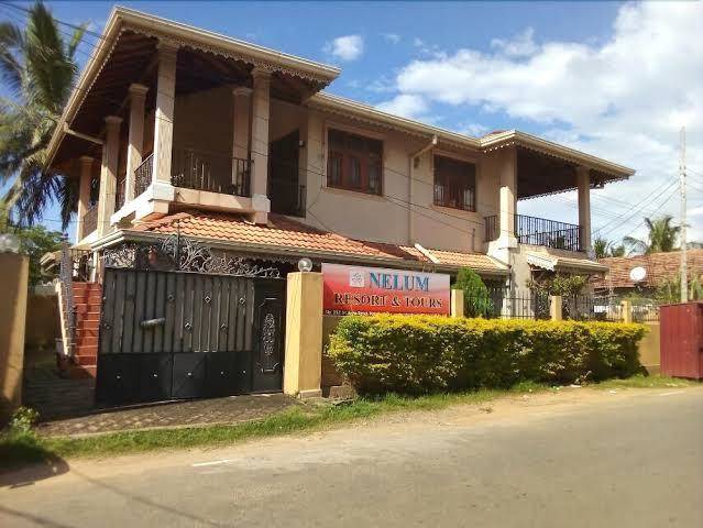 Nelum resort and tours
