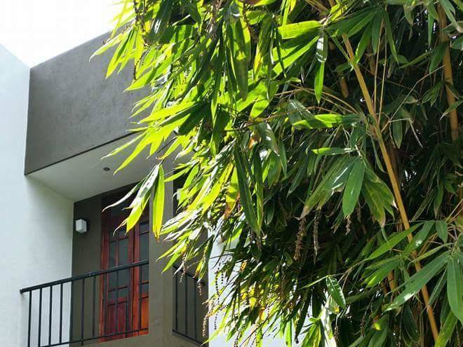 Oak residencies