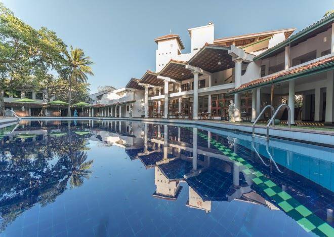 Palms mount lavinia