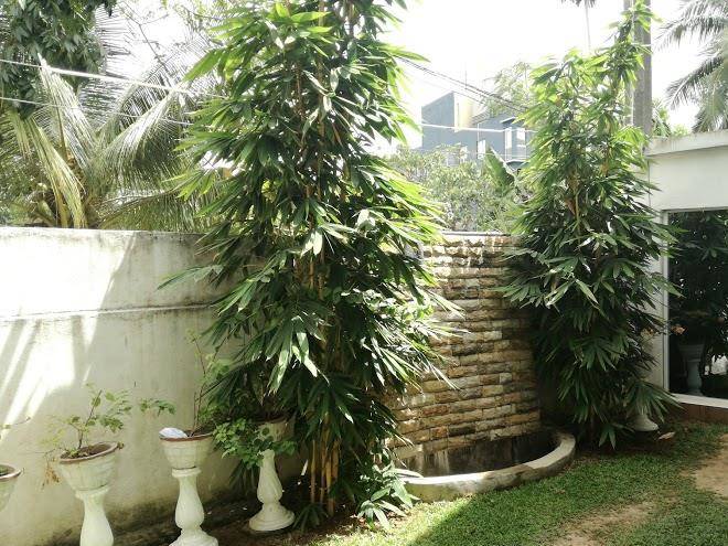 Parogon Hotel Thalawathugoda Image