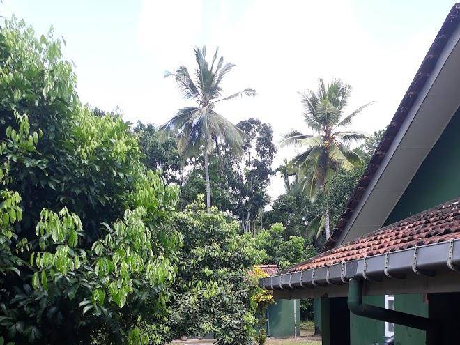 Rajagaha grand hotel