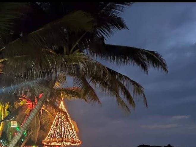 Coral Reef Sea Food Restaurant Image
