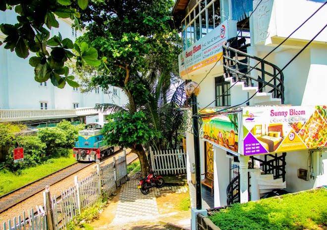 Sunny bloom resort
