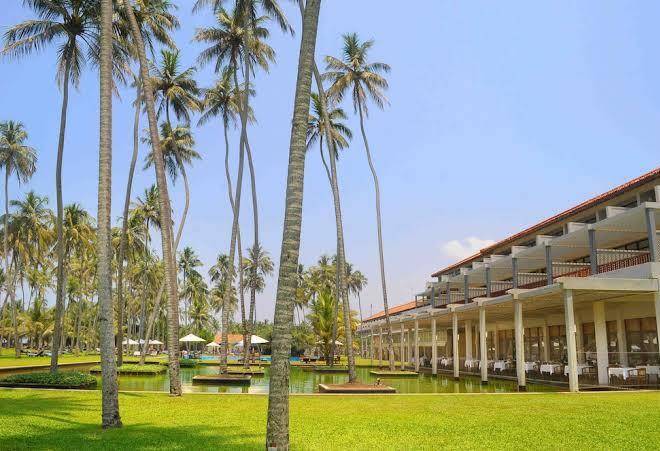 The blue water hotel and spa