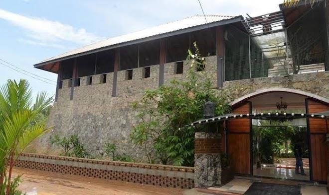 White Peacocks And Birds Resort Image