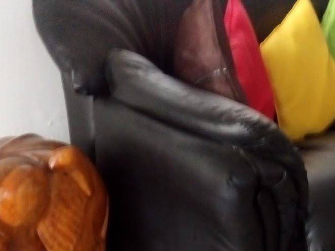 Winthrop Holiday Resort Image