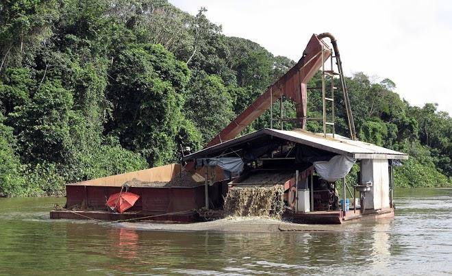 Bergendal amazonia wellness resort