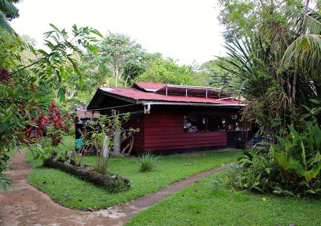 Danpaati river lodge
