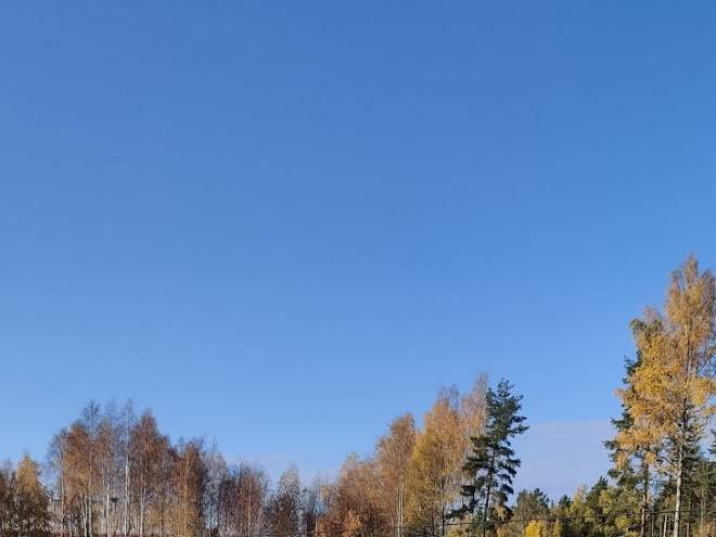 Falu vildvattenpark