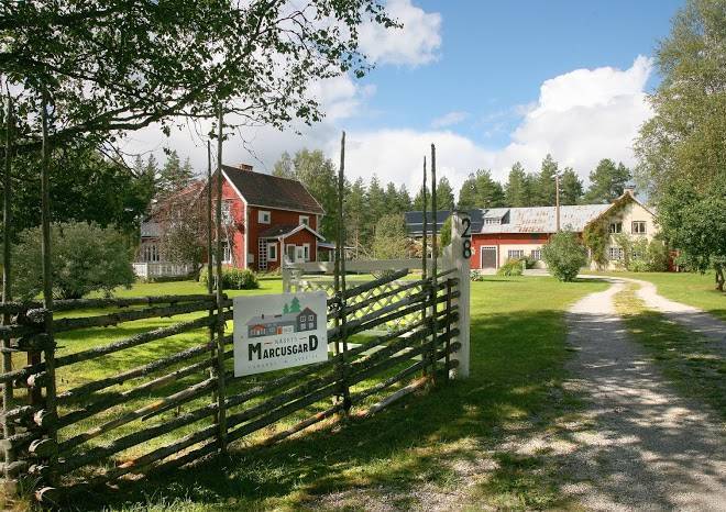 Nasets Marcusgard Image