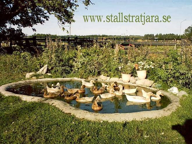 Stall Stratjara Image