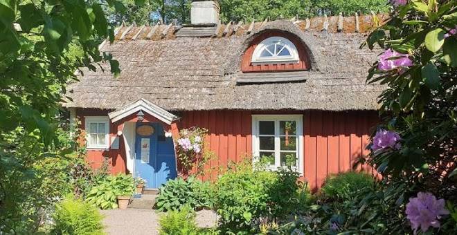 Malistorpetsrosor