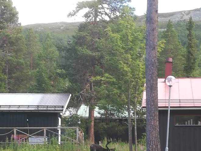 Hoglekardalens semesterby