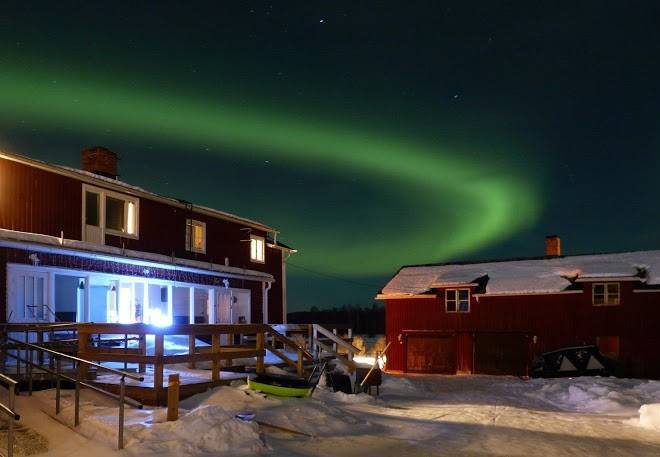 The friendly moose making lapland accessible