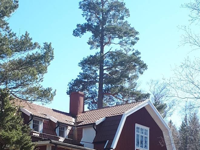 Talludden Vandrarhem Image