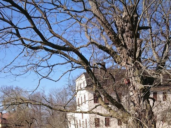 Gamla teatern pilgrimscentrum