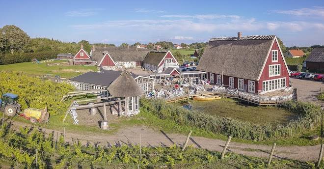 Arild's Vineyard Image