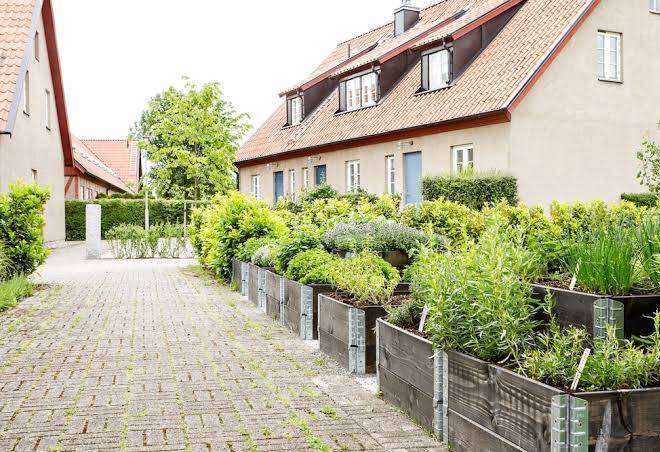 Lilla vik golfrestaurang