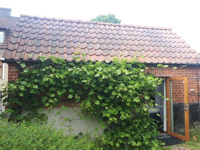 Litet gasthus i sankt olof
