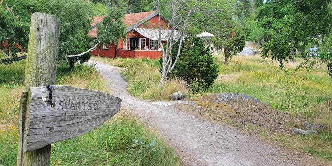 Svartso logi