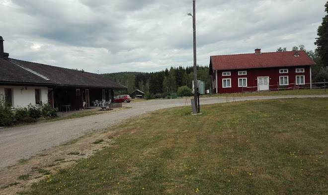 Medskog aktivitetsby